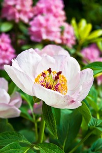 février_jardinage
