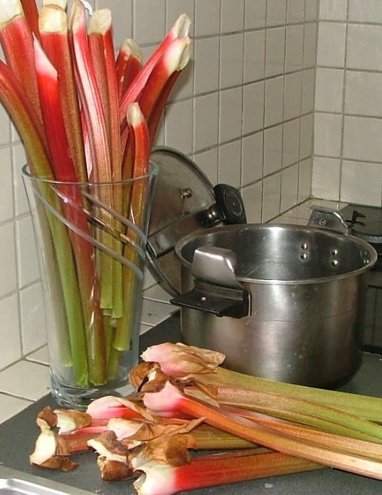 Rhubarbe fruit Rhubarbe