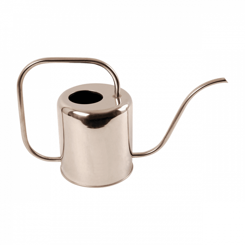 Arrosoir inox 1,5litres 38cm