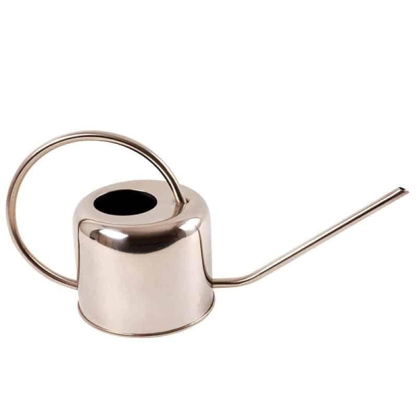 Petit arrosoir d'intérieur en Inox 1 litre