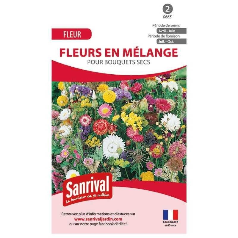 Mélange de graines spécial bouquet séché