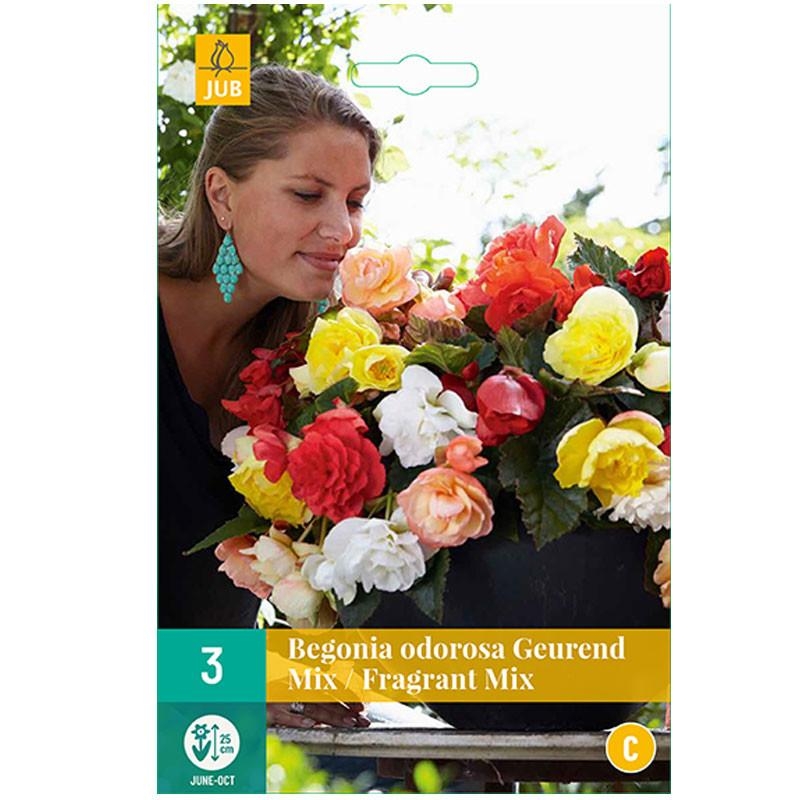 Mélange de 3 CASCADES ODOROSA FRAGRANT