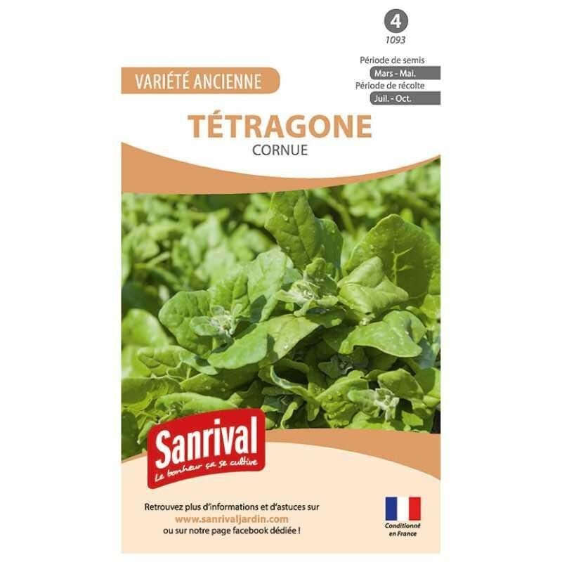 Graines de tetragone cornue