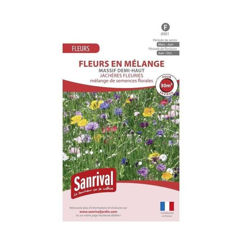 Jachère fleurie pour massif demi-haut