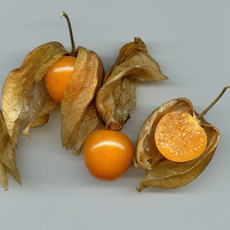 Physalis peruviana - Coqueret du Pérou comestible