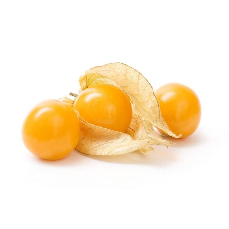 Physalis angulata - Cerise de terre - Groseille du Cap comestible