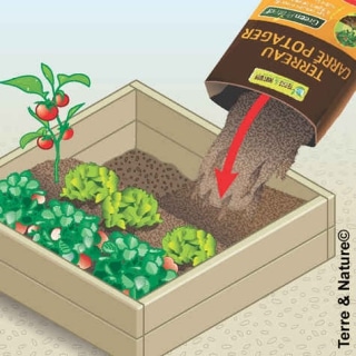 schema carre potager