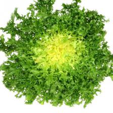 frisée