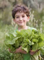 boy holding organic lettuce outdoors