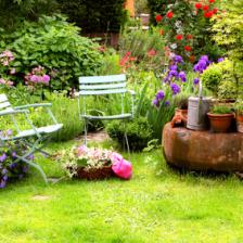 jardinage été