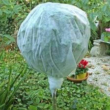 protection hiver plantes