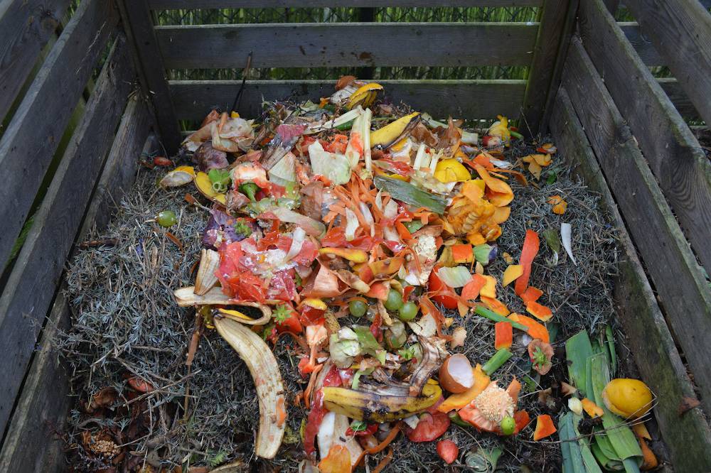 CompostApprendre À Déchets Bien Composter Ses WCrdxBoe
