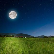 jardiner avec la lune