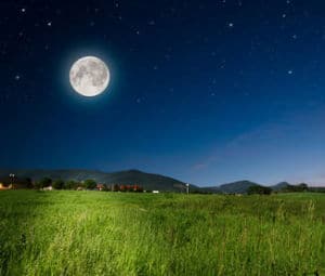 jardiner avec la lune