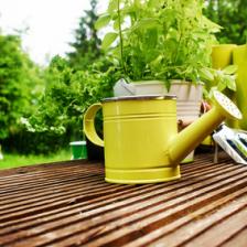 jardinage avril