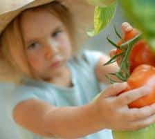 1253709320jardinage_bio