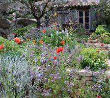 Mediterranean garden planting ideas