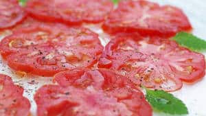 carpaccio tomate