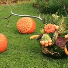 1350080910jardin-des-renaudies-fete-citrouilles-2