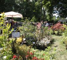 1350525878courson-laetitia-devillars-1