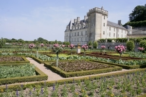 1352768933jardins-villandry-laetitia-devillars