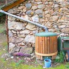 utiliser-eau-de-pluie-pour-jardin