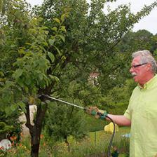 1363163593traitement-bio-arbres-fruitie