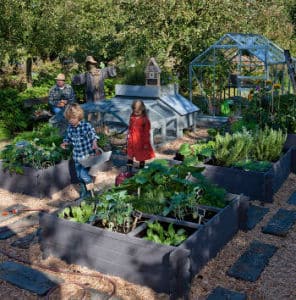 vegetable patch for children, with calendar