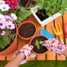 jardinage juin