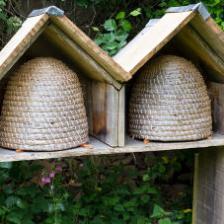 ruche abeilles
