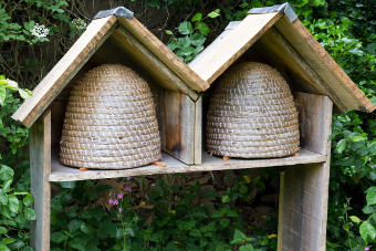 Une ruche écolo au jardin