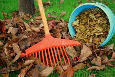 Ramassage et utilisation des feuilles mortes au jardin