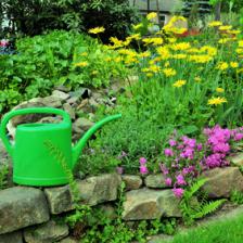 jardinage en mai