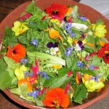 fleurs comestibles