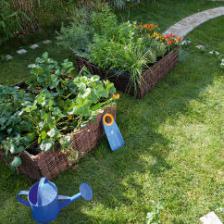 Jardin_de_cure
