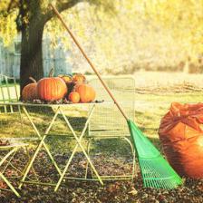 novembre