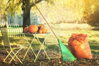 Pelouse et gazon en novembre