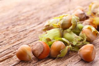 noisette - Noisette : bienfaits et vertus