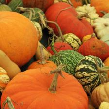 courge