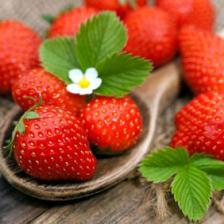 fraise bienfaits vertus