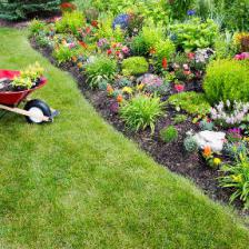 jardinage printemps
