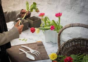 outils de jardinage