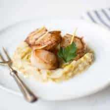 saint jacques fondue endive