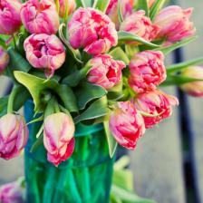 Bouquet de printemps