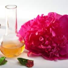 Peony health benefits and therapeutic value