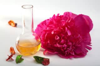 pivoine utilisation bienfaits vertu