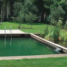 piscine naturelle