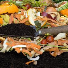 Compost