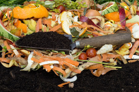 Compost