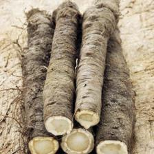 Black salsify, a delicious heirloom vegetable
